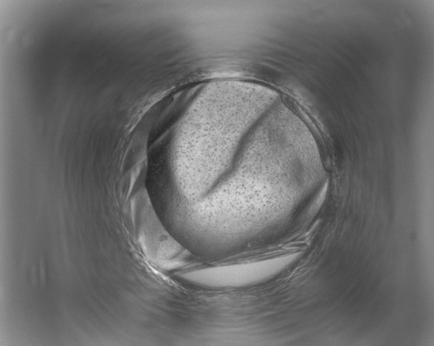 X0000062880385200601271627