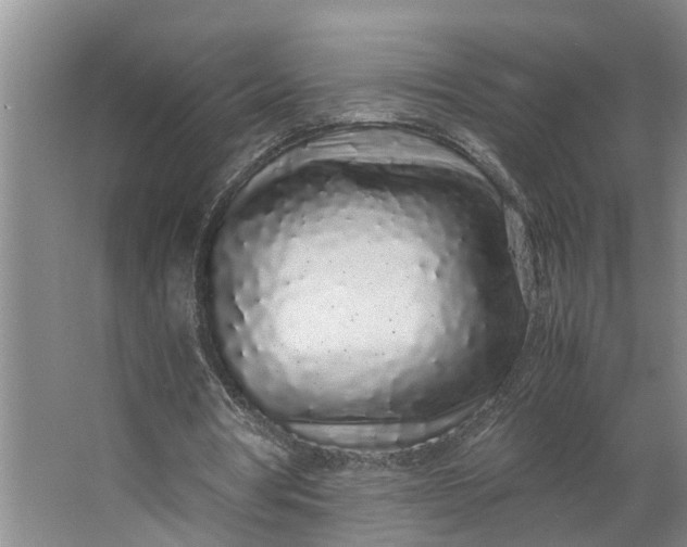 X0000062880386200601271627