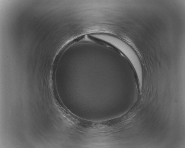 X0000062880387200601271627
