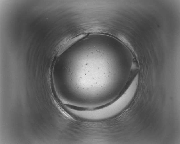 X0000062880389200601271627