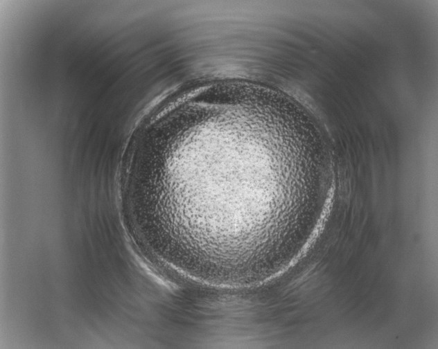 X0000062880390200601271627