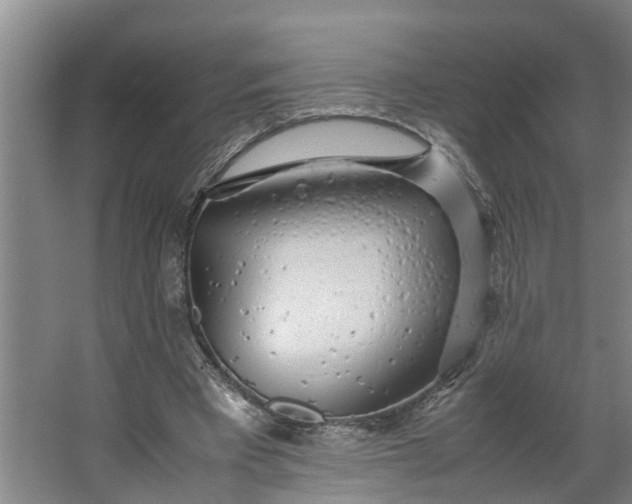X0000062880393200601271627