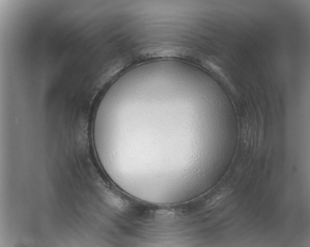 X0000062880394200601271627