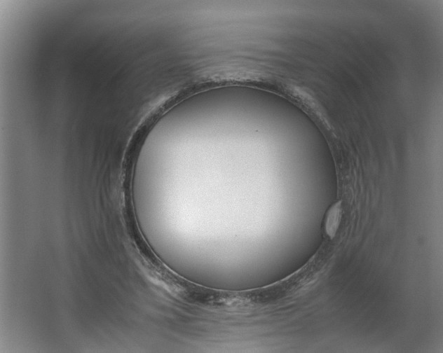 X0000062880395200601271627