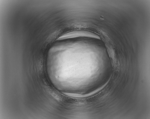 X0000062880402200601271627