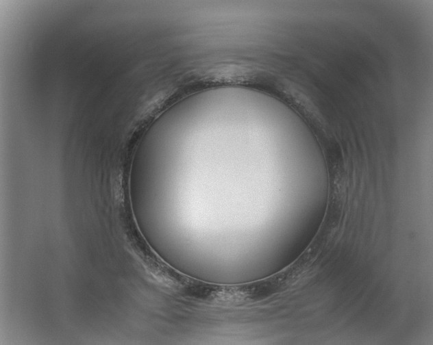 X0000062880403200601271627