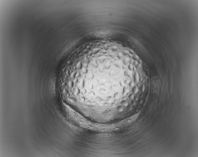 X0000062880404200601271627