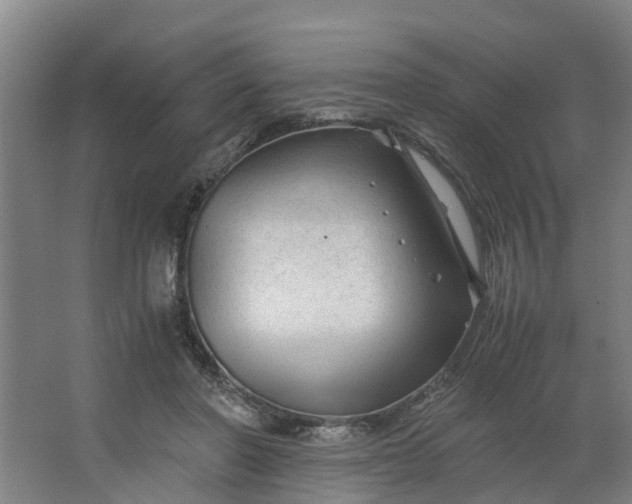 X0000062880406200601271627