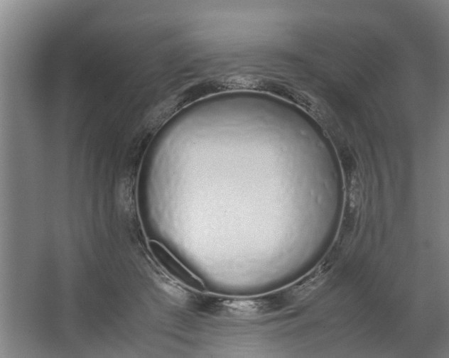 X0000062880409200601271627