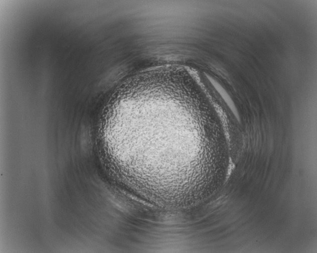 X0000062880410200601271627