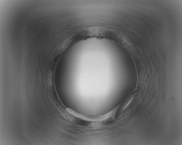 X0000062880413200601271627