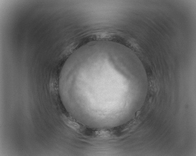 X0000062880419200601271627