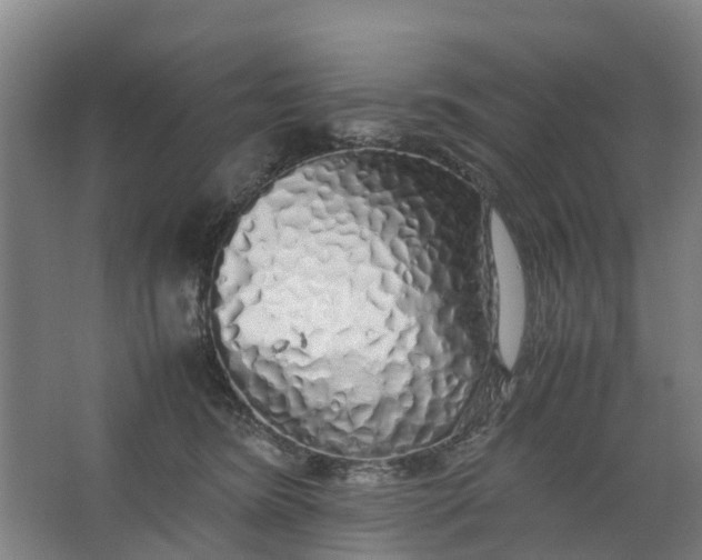X0000062880420200601271627
