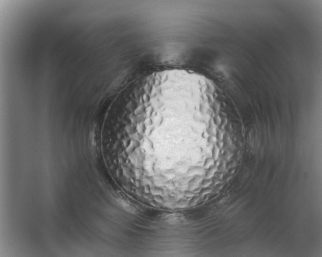 X0000062880424200601271627