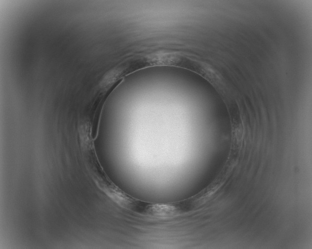 X0000062880429200601271626