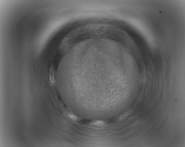 X0000062880431200601271626