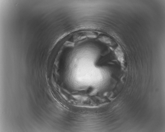 X0000062880434200601271626