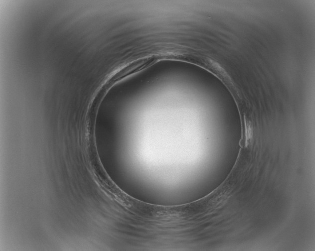 X0000062880435200601271626