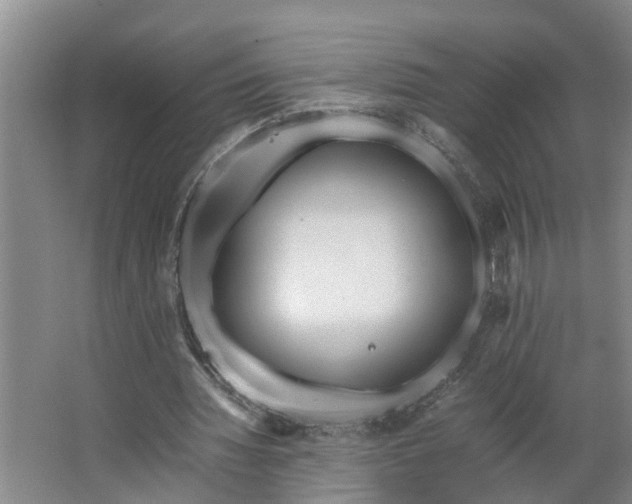 X0000062880436200601271626