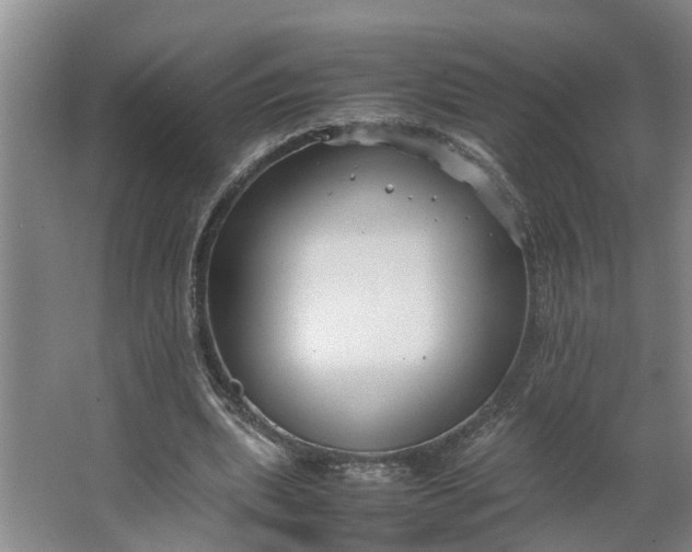 X0000062880439200601271626