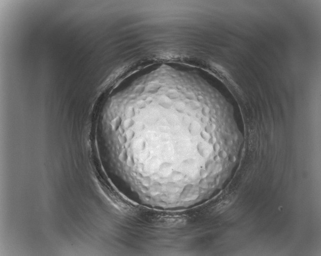 X0000062880443200601271626
