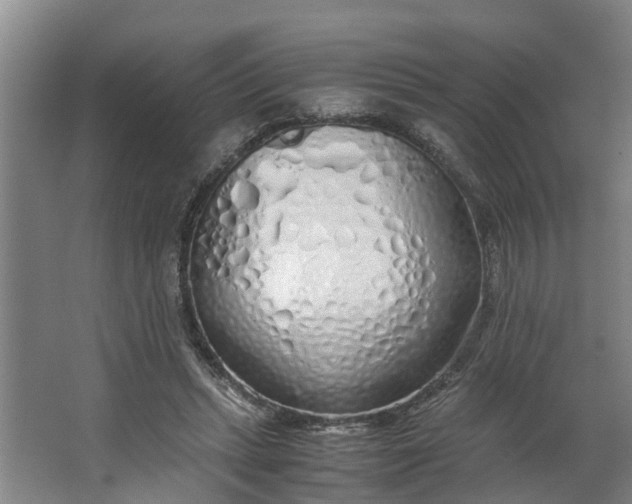 X0000062880447200601271626