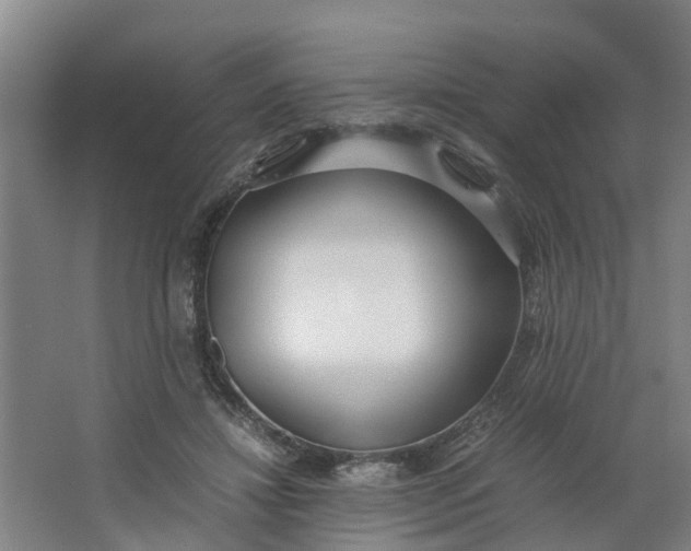 X0000062880452200601271626