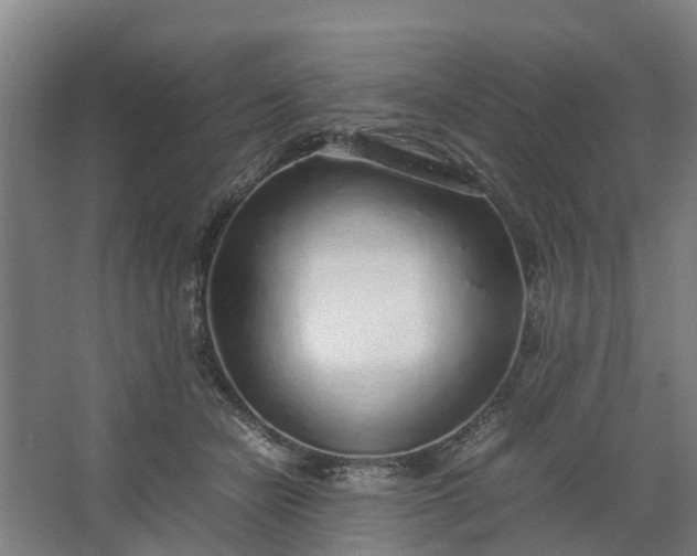 X0000062880462200601271626