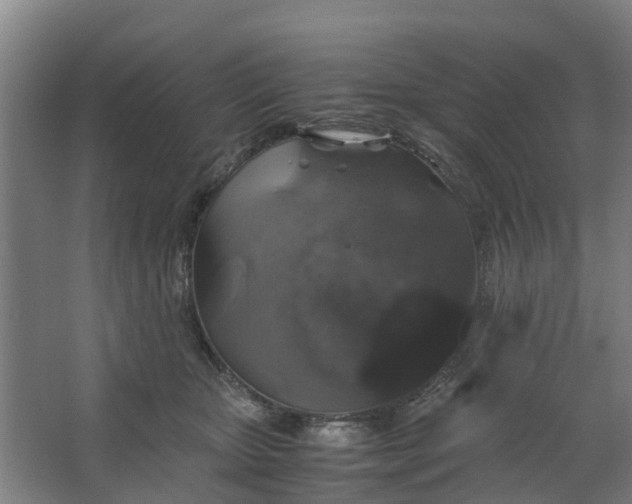 X0000062880467200601271626
