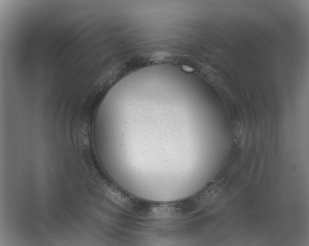 X0000062880470200601271626