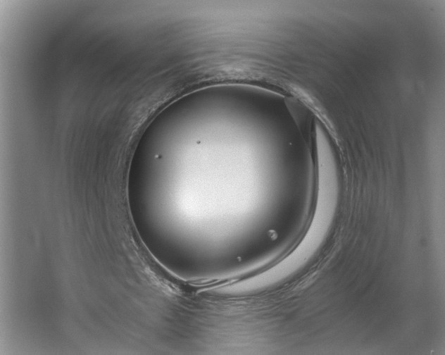 X0000062880481200601271626