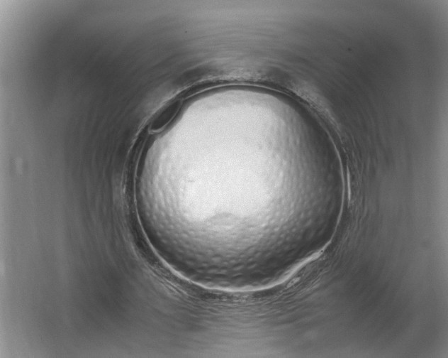 X0000062880483200601271626