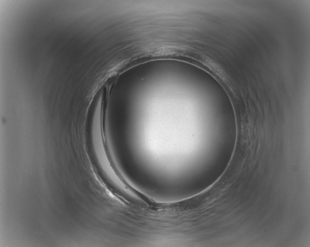 X0000062880485200601271626