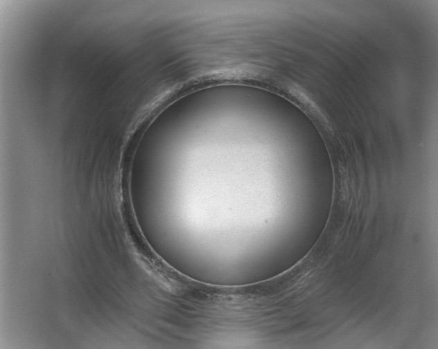 X0000062880486200601271625