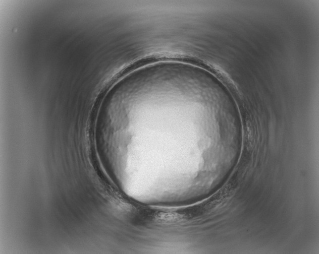 X0000062880487200601271625