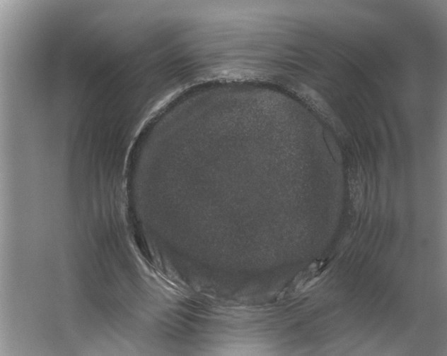 X0000062880488200601271625