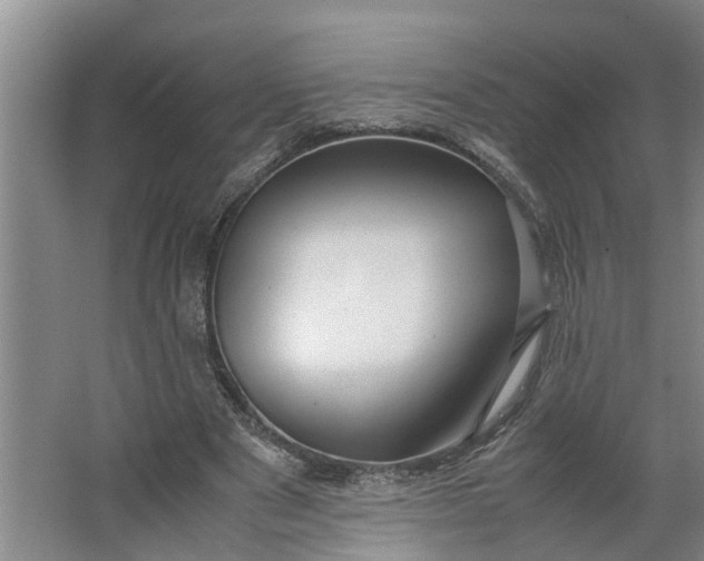 X0000062880489200601271625