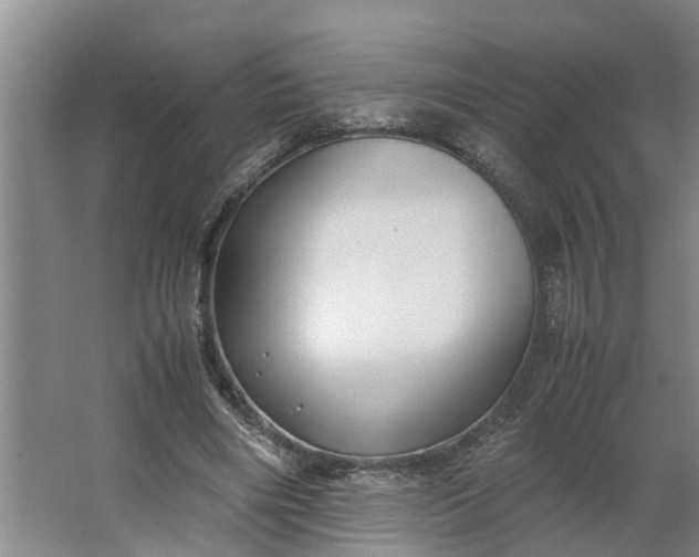 X0000062880490200601271625