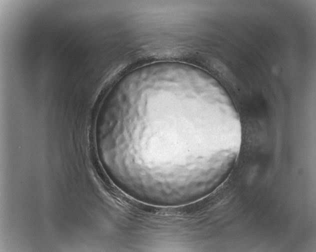 X0000062880491200601271625