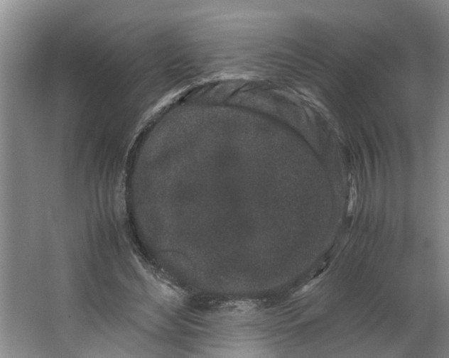 X0000062880492200601271625