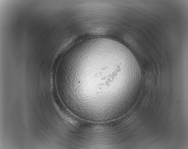 X0000062880494200601271625