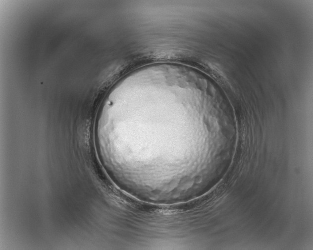 X0000062880495200601271625