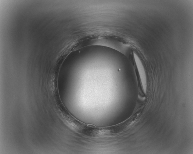 X0000062880501200601271625