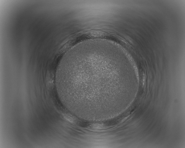 X0000062880507200601271625