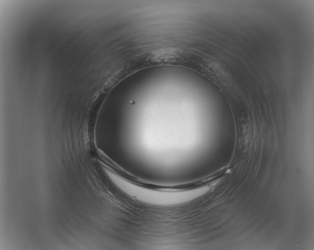 X0000062880508200601271625