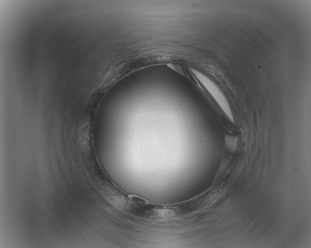 X0000062880509200601271625