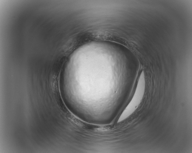 X0000062880511200601271625