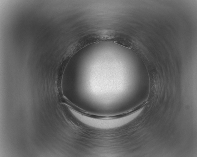 X0000062880512200601271625