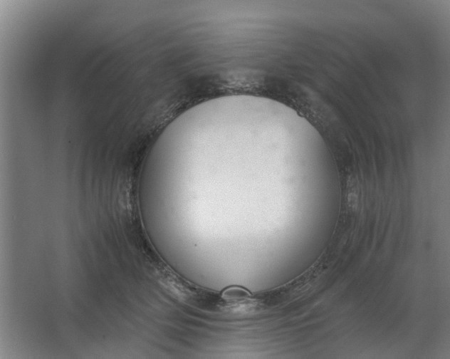 X0000062880514200601271625