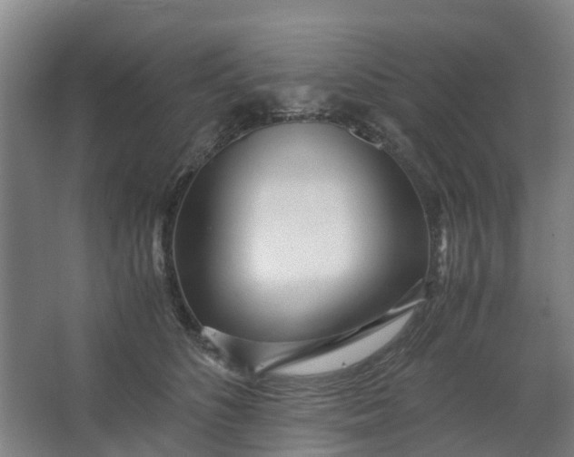 X0000062880516200601271625